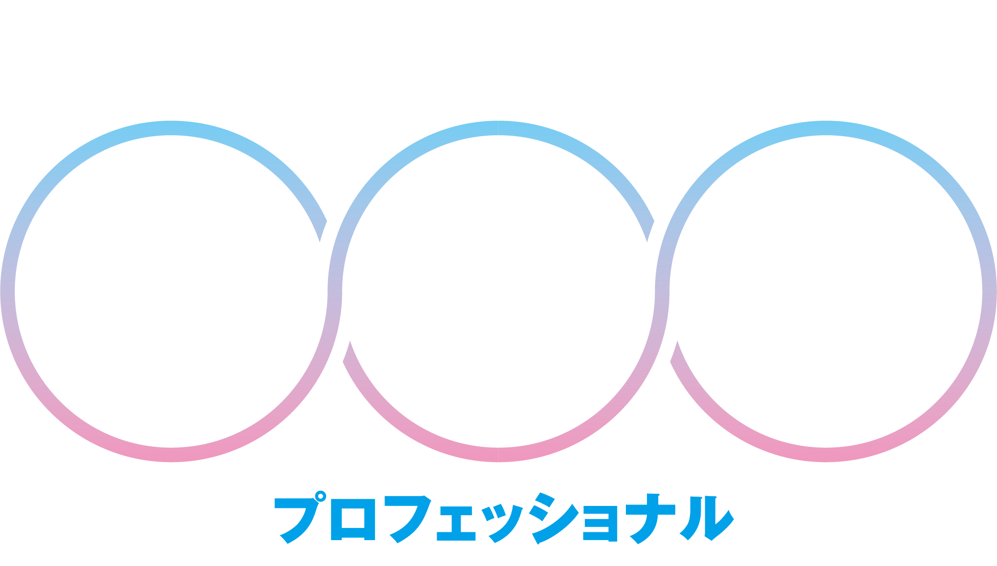 プロフェショナル